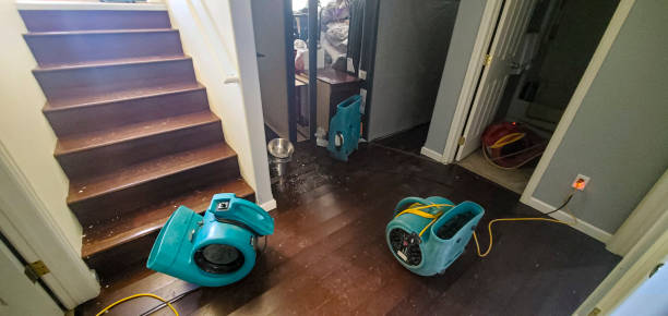 Best Carpet water damage restoration  in New Lno, LA