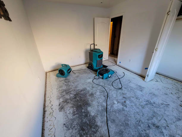 Best Water damage restoration experts  in New Lno, LA