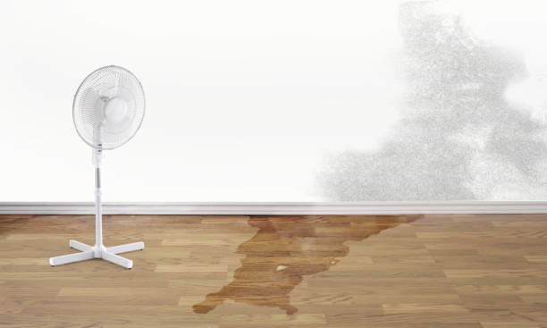 Best Water damage contractors near me  in New Lno, LA