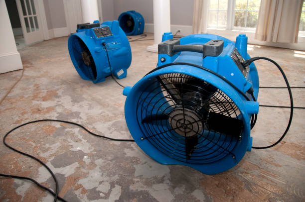 Best Sewage cleanup and water damage restoration  in New Lno, LA