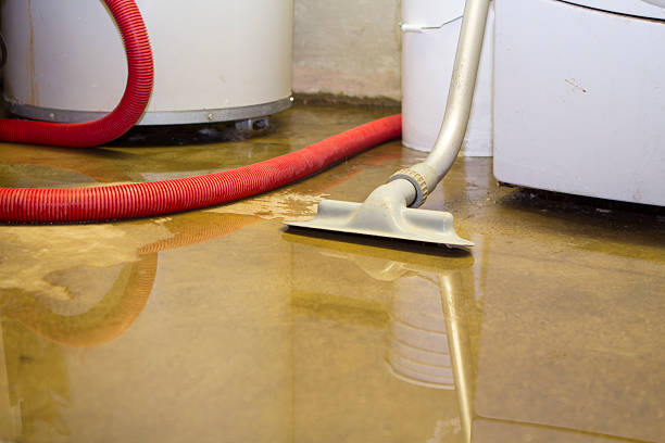 Best Mold removal after water damage  in New Lno, LA