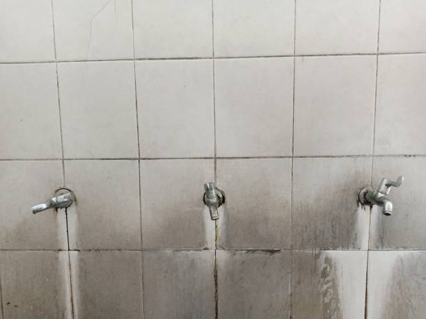 Best Water damage restoration near me  in New Lno, LA