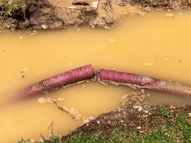 Reliable New Llano, LA Water damage restoration Solutions